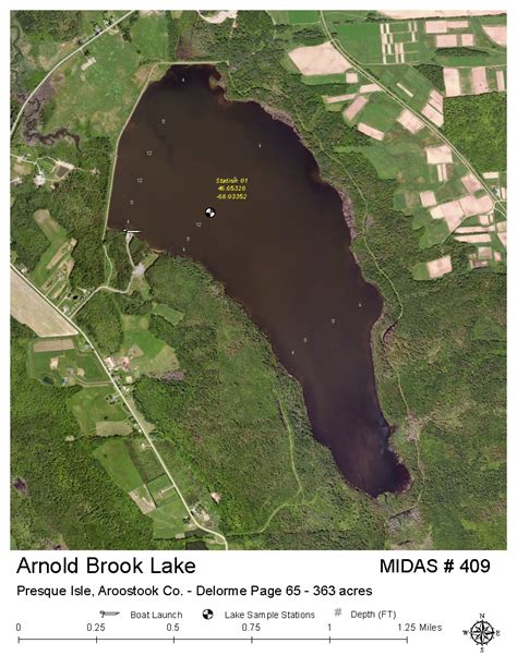 Lake Overview Arnold Brook Lake Presque Isle Aroostook Maine