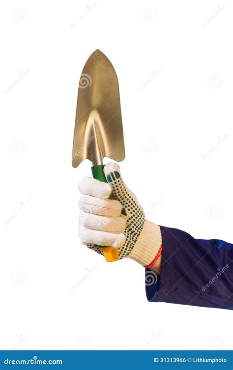 Hand In Glove Holding Garden Trowel Stock Photo Image Of Agriculture