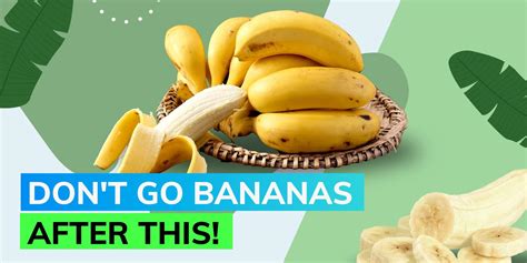 World‘s Most Popular Banana On Brink Of Extinction Study Shows Editorji