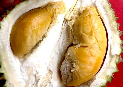 Jul 27, 2021 · commercial litigation lawyer chooi & company + chea. D175 - Durian Udang Merah - DurioTourism - Durian Lovers!