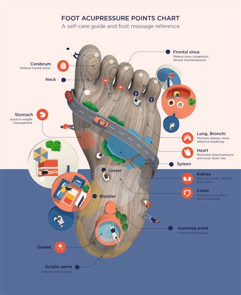 Foot Acupressure Points Chart A Self Care And Foot Massage Infographic