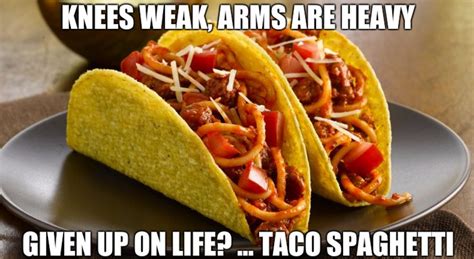 28 taco tuesday memes that inspire us to live más funny gallery ebaum s world