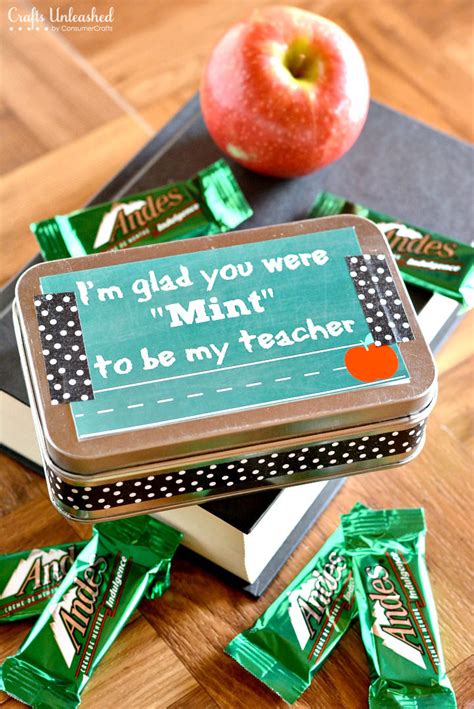 15 Best Back to School Teacher Gifts - Tip Junkie