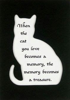 Pet loss poems to help those grieving. Image result for loss of pet cat poem | Cat poems, Pets ...