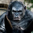 'La guerra del planeta de los simios': César regresa en el teaser ...