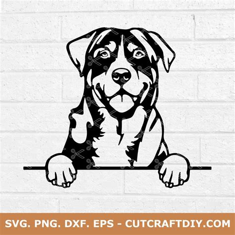 Labrador Svg Dog Svg Png Dxf Eps Cut Files For Cricut And