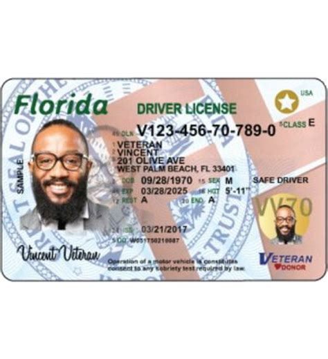 Enhanced Driver License Florida Nelodisc
