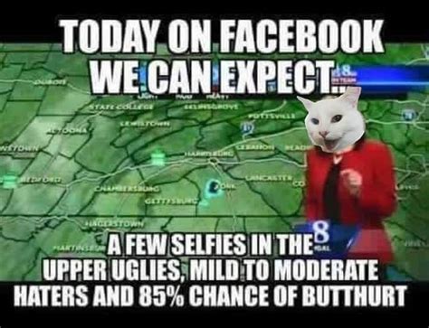 Smudging Social Media Selfie Memes Funny Cat Meme Cat Breeds