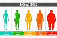 bmi, body mass index infographic. | Healthcare Illustrations ~ Creative ...