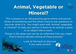 Animal Vegetable Mineral activity by dynamicearth - Flipsnack