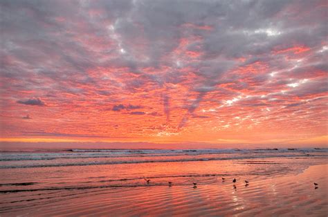 Pink Beach Sunrise No 2 ‹ Creative Sparks Imagery