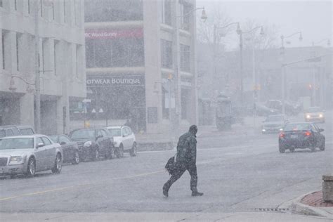 Gusting Winds Affecting Guelph And Area 5 Photos Guelph News