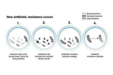 Antibiotic Resistance Graph