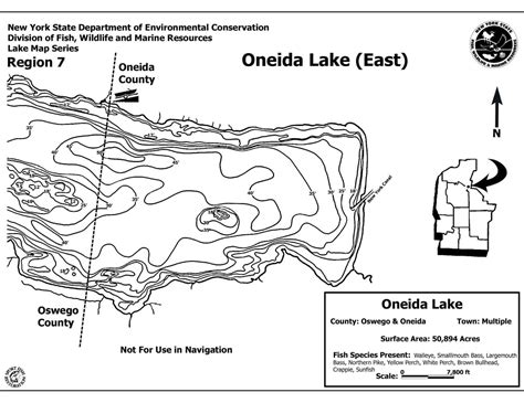 Oneida Lake Contour Map Hiking In Map