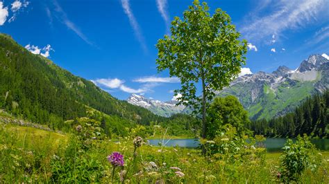 Alpenlandschaft Foto And Bild Landschaft Berge Bergseen Bilder Auf
