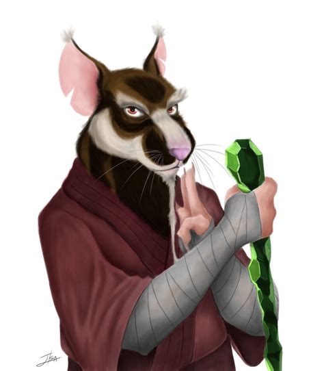 Splinter By Bakameganekko On Deviantart Tmnt Teenage Mutant Ninja