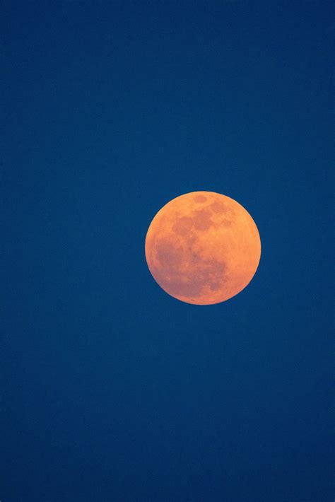 Download Luna Orange Moon Blue Sky Wallpaper