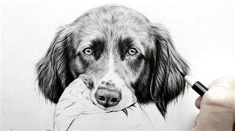 We focus on every detail like dog ears, nose, eyes and even postures. How to draw realistic fur - dog earsReal time | Leontine ...