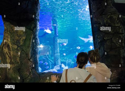 Sea Life Sydney Aquarium Stock Photo Alamy