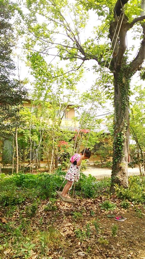 子供が遊べる庭 | 中央園芸のブログ