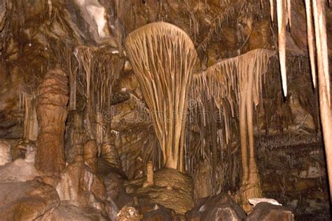 Cave Column From Lehman Cave Stock Photo Image Of Basin Formation