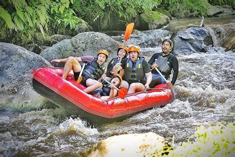 Bali White Water Rafting With Jungle Swing Kedewatan Indonesia