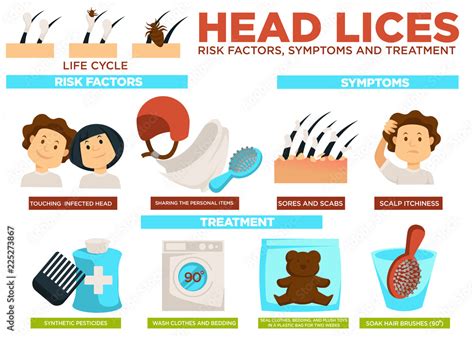 Head Lice Risk Factors Symptoms And Treatment Poster Vector Stock Vector Adobe Stock