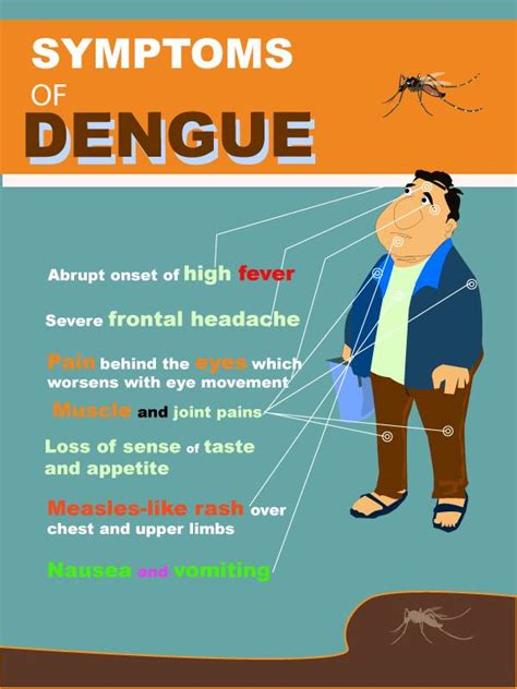 Hpa Maldives On Twitter Dengueoutbreak Know The Symptoms Of Dengue