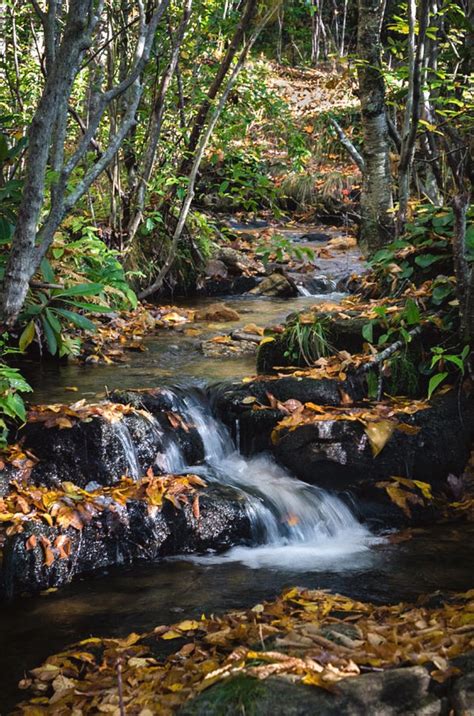 A Stream In The Woods Is A Photograph By Barbara Hayton I Enjoy