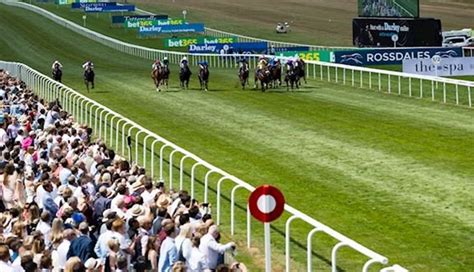Newmarket Races Newmarket Racecourse Packages And Theyre Off