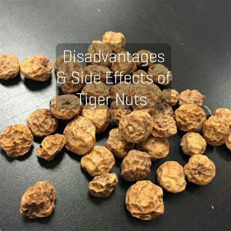 Disadvantages And Side Effects Of Tiger Nuts Nigerian Health Blog