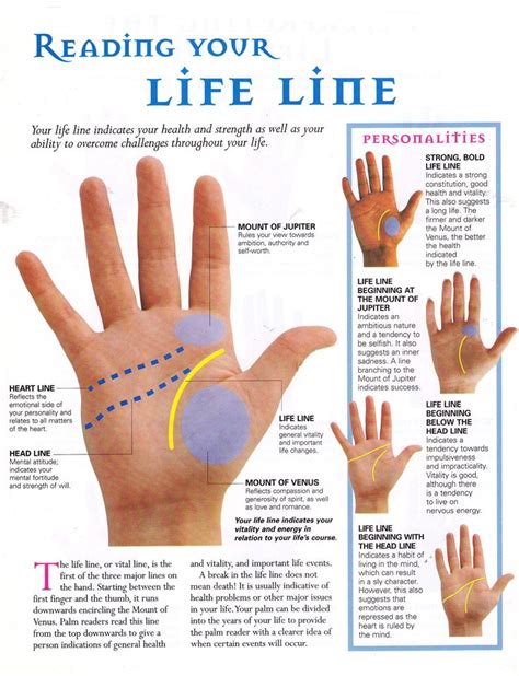 Images About Palmistry On Pinterest