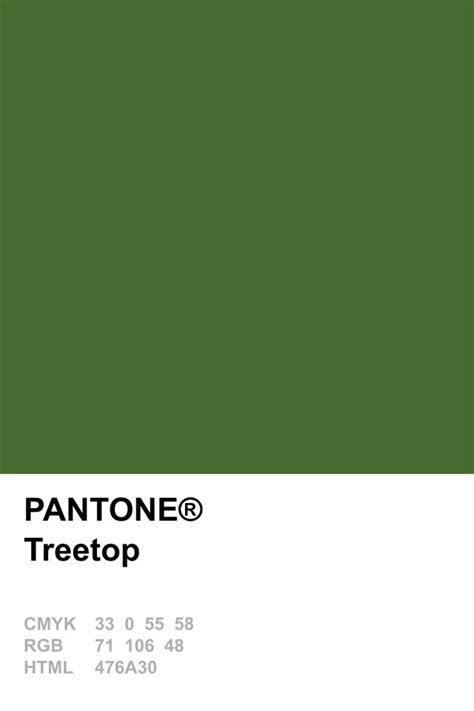 Pantone 2015 Treetop Pantone Colour Palettes Nature Color Palette