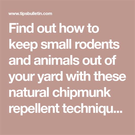 7 Smart And Safe Chipmunk Repellents In 2020 Chipmunk Repellent Repellents Easy Lasagna Recipe