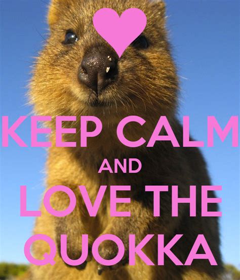 O Pavio é Curto Keep Calm And Love The Quokka