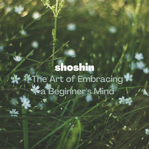 How To Master Shoshin The Art Of Embracing A Beginners Mind Art Of
