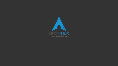 배경 화면 Archlinux 아치 리눅스 1920x1080 Jameslarson 1368633 배경 화면 Wallhere