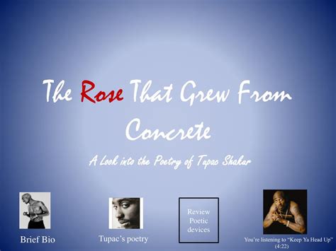 The Rose That Grew From Concrete Book Online - Download The Rose That