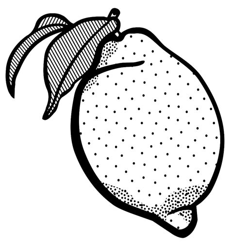 Download High Quality Lemon Clipart Outline Transparent Png Images