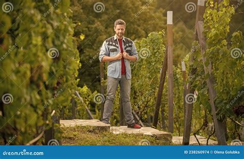 Man Harvester On Summer Harvest Handsome Wine Maker Mature