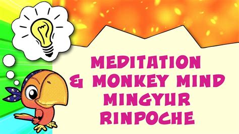 Meditation And Monkey Mind Yongey Mingyur Rinpoche Geistesblitze