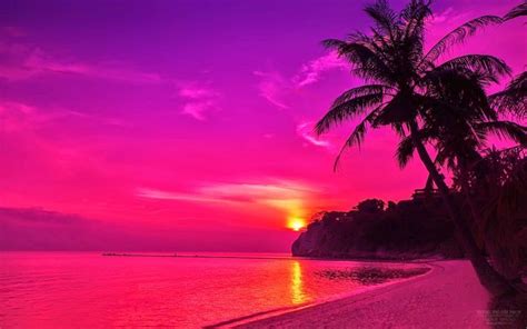 Pink Sunsets Beaches Sunsets Wallpaper  Beaches Sunsets