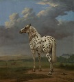Paulus Potter | Animal Painter, Landscapes, Dutch Masters | Britannica