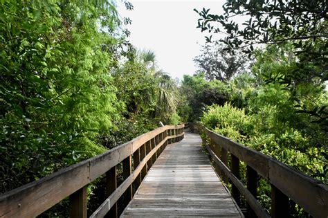 Daggerwing Nature Center — The Boardwalk