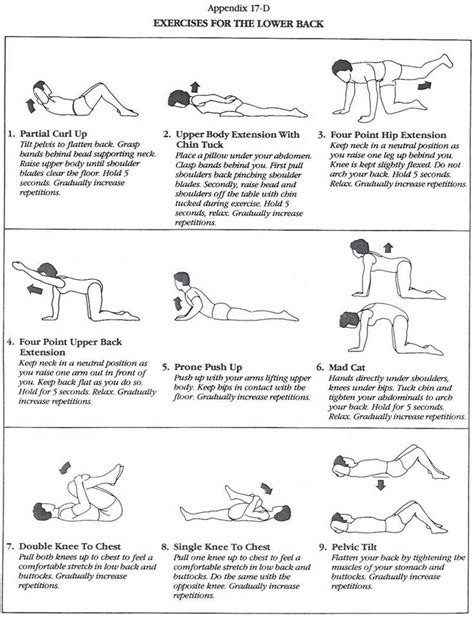 Gallery Patient Handout Low Back Pain Exercises Low Back Pain Exercises Patient Handout