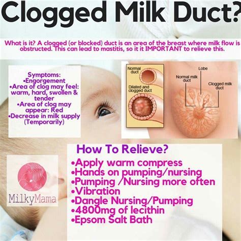 Pin By Candace Corner On All About Breastfeeding Milk Flow Engorgement Mastitis