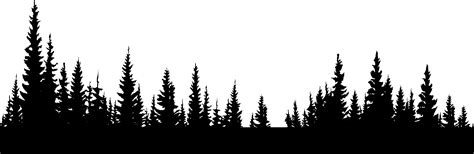 Forest Png Transparent Image Download Size 2334x761px