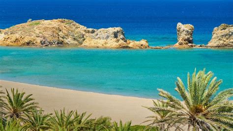 Vai Palmgrove Vai Beach Crete Greece Beach Crete Island Crete