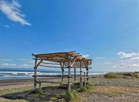 Pantai Pancer Puger Jember Spot Surfing Sampai Berburu Ikan Segar