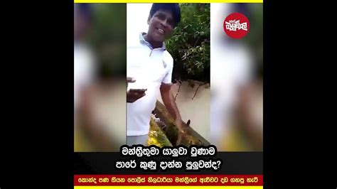 පාරේ කුණු දාපු මන්ත්‍රීගේ ඇච්චට වෙච්ච දේ Video Youtube